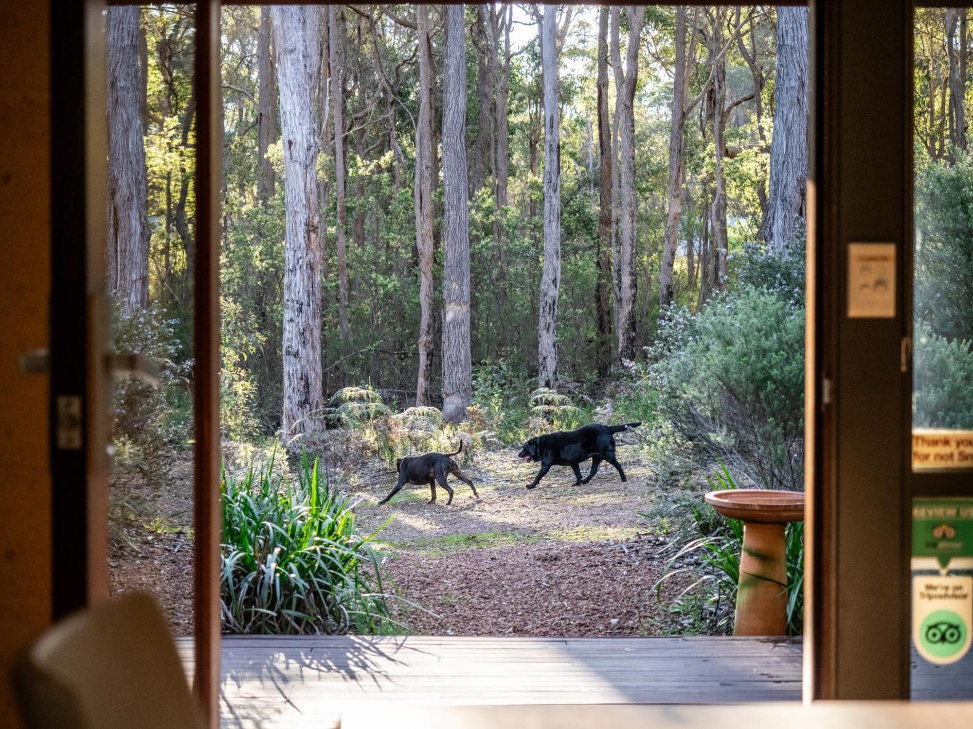 Jarrah Grove Forest Retreat - Adults Only Luxury Chalet Rosa Glen Dış mekan fotoğraf